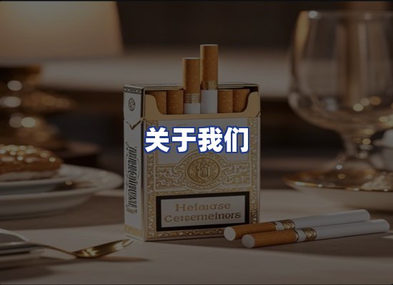 专业团队